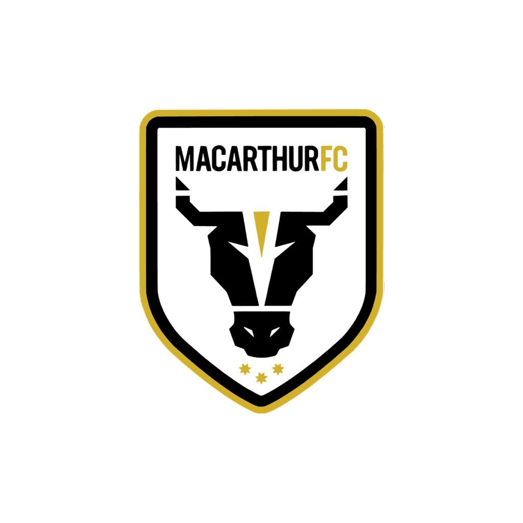 sports brand identity